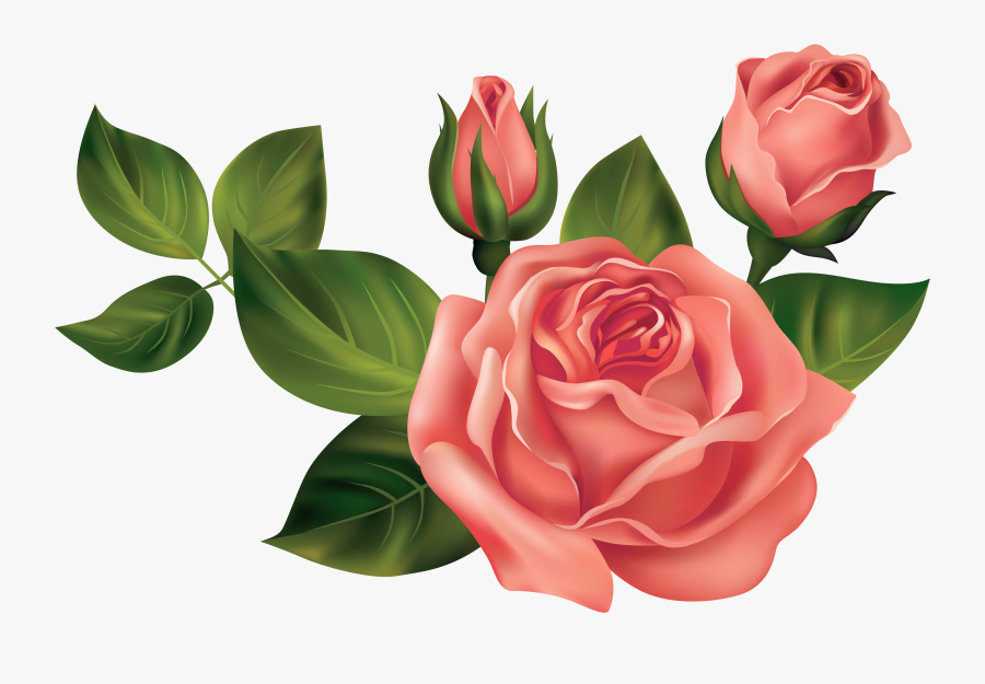 Transparent Roses Png Clipart Picture - Transparent Images Of Roses, Transparent Clipart