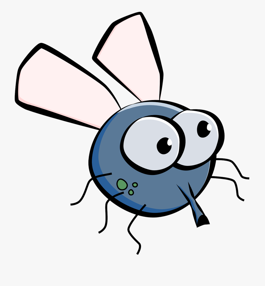 Cartoon Fly Svg Openclipart - Cartoon Fly Clipart, Transparent Clipart