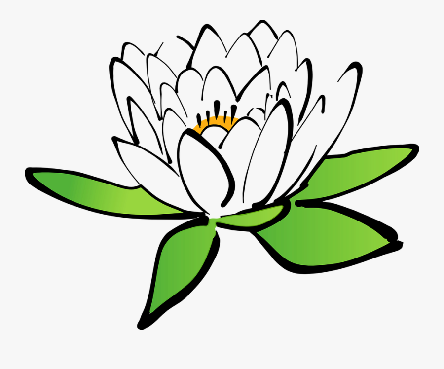 Lotus, Flower, Water Lily, White Water Lily, Bloom - Gambar Animasi Bunga Teratai, Transparent Clipart