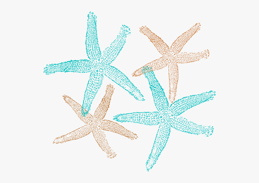 Starfish Prints Svg Clip Arts 600 X 559 Px - Shell Starfish Clip Art, Transparent Clipart