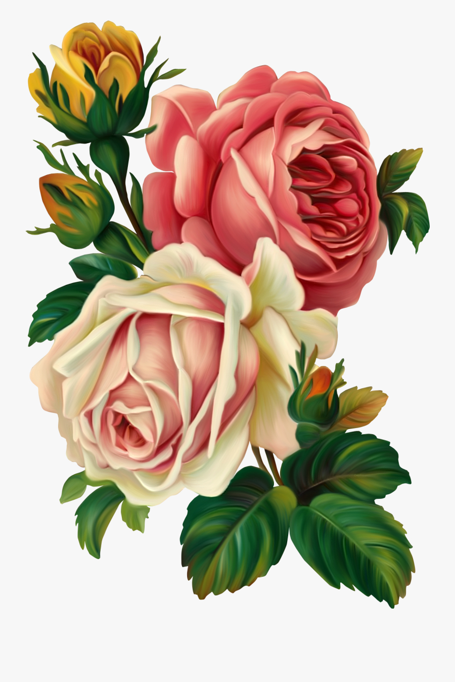Red Rose Clipart Vintage - Rose Flower Painting, Transparent Clipart