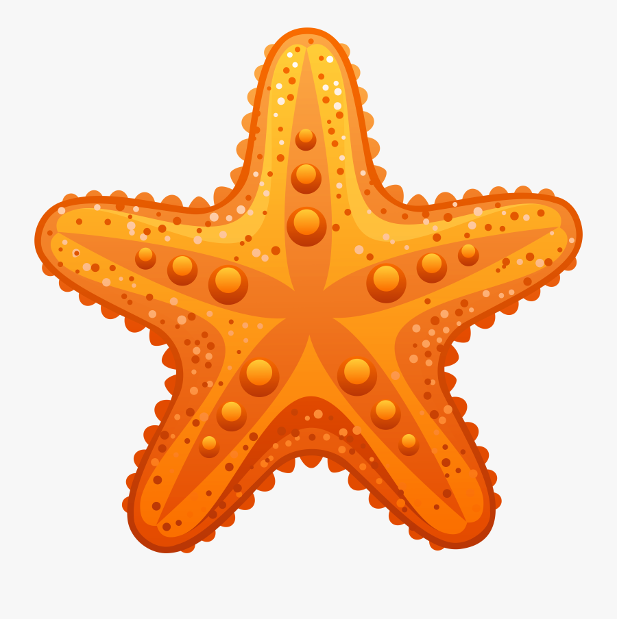 Starfish Transparent Clipart Image Gallery Png - Starfish Clipart, Transparent Clipart
