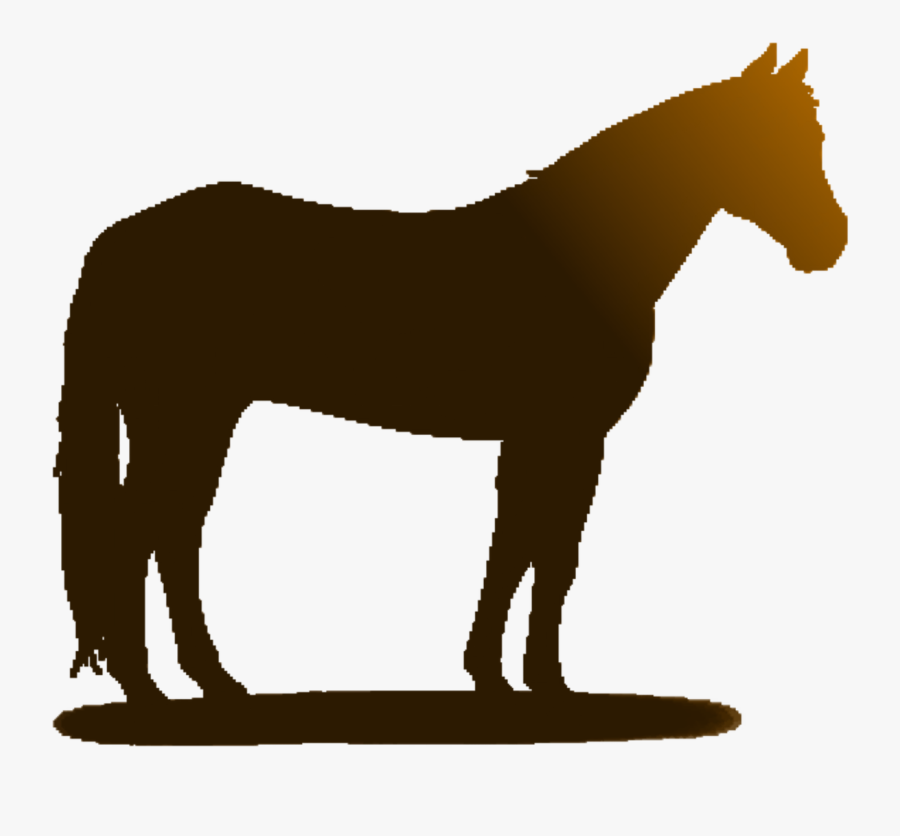 Horse, Animals, Zoo, Farm, Clipart, Line, Brown, Sun - Caballos Argentinos Png, Transparent Clipart