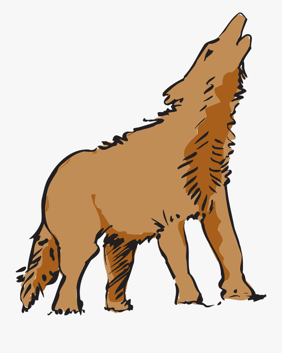 Coyote Clipart Png, Transparent Clipart