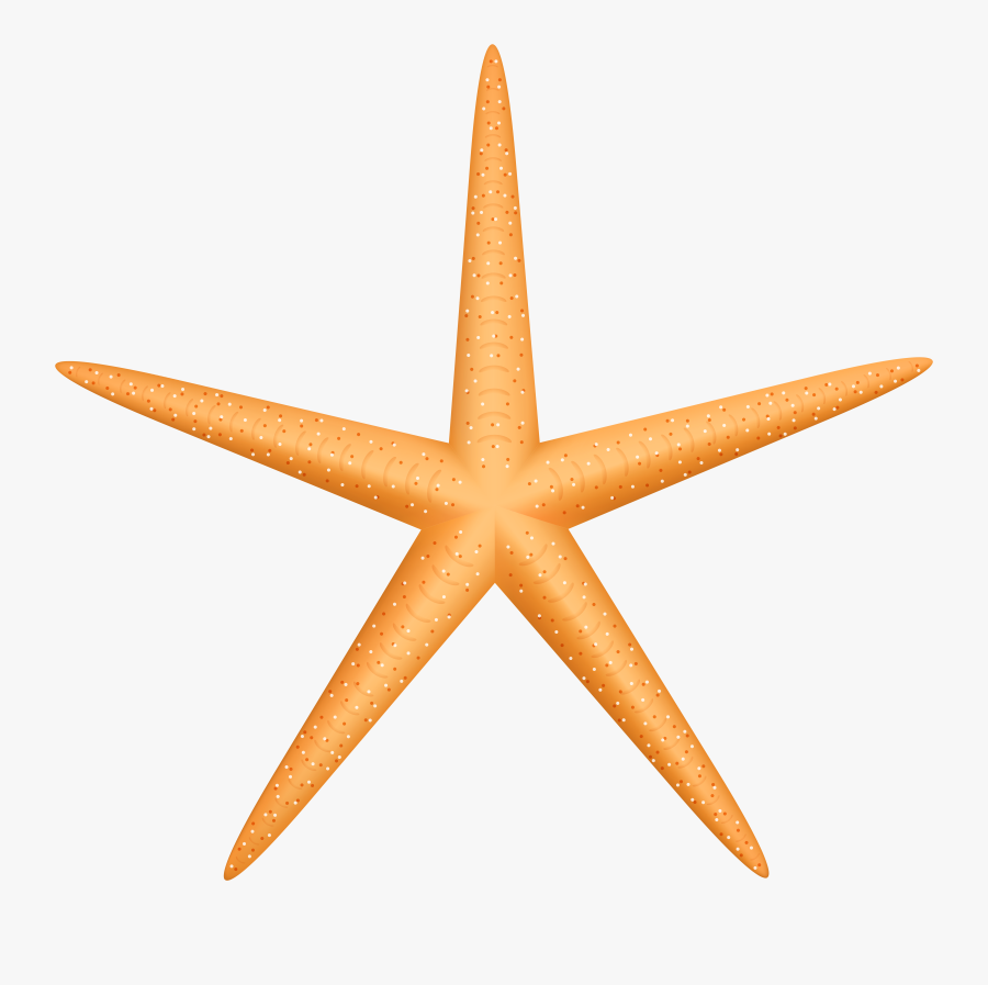Yellow Starfish Png Clip Art, Transparent Clipart