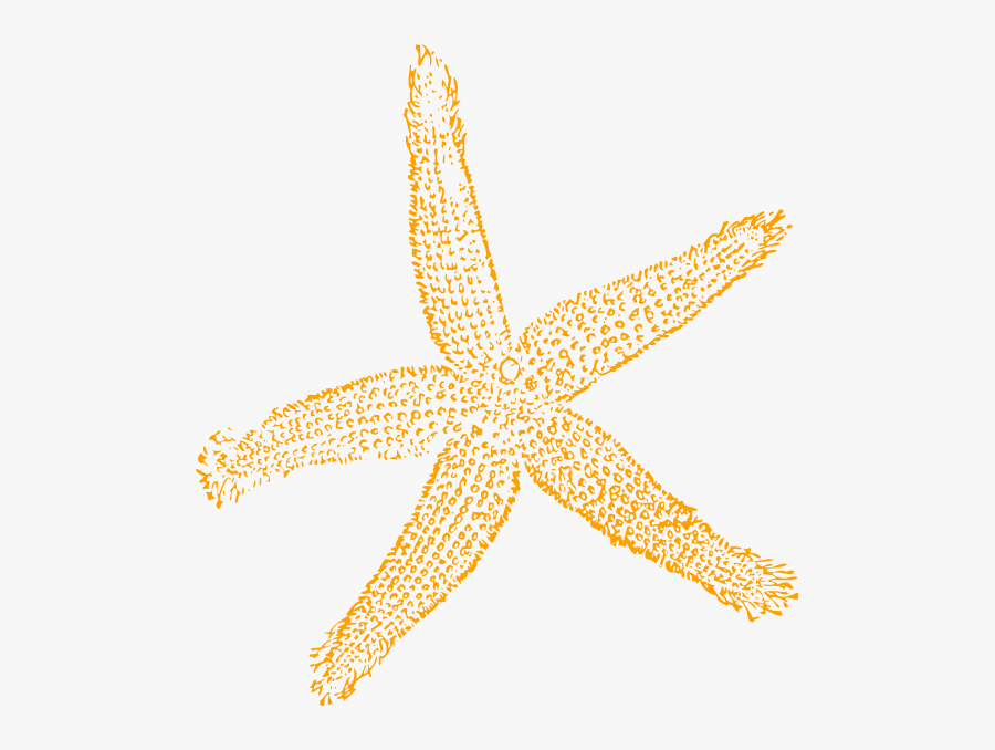 Clipart Starfish Image - Fish Clip Art, Transparent Clipart