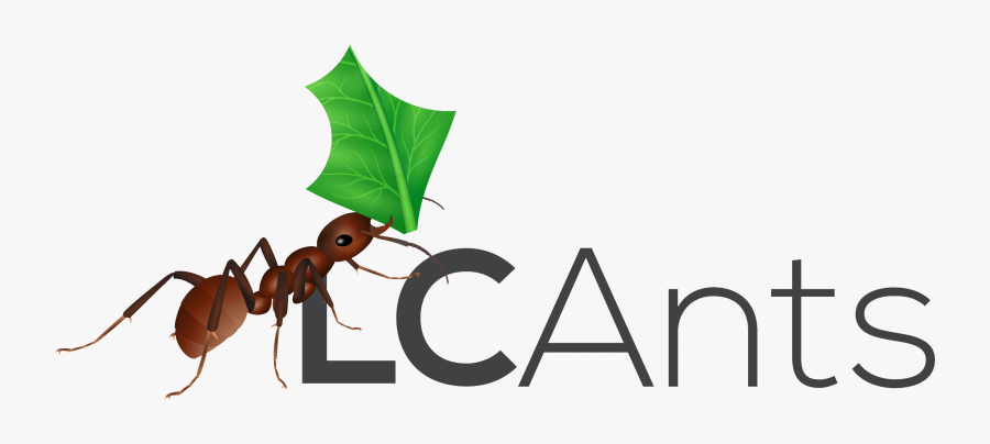 Ant Clipart Ant Farm - Termite, Transparent Clipart