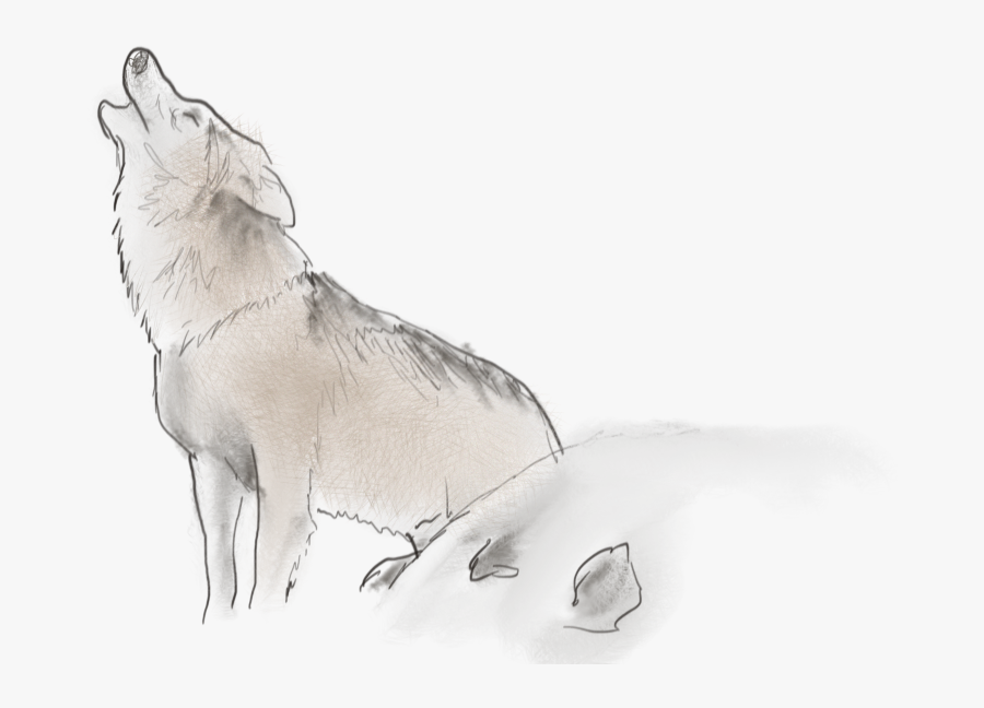 Sketch, Transparent Clipart