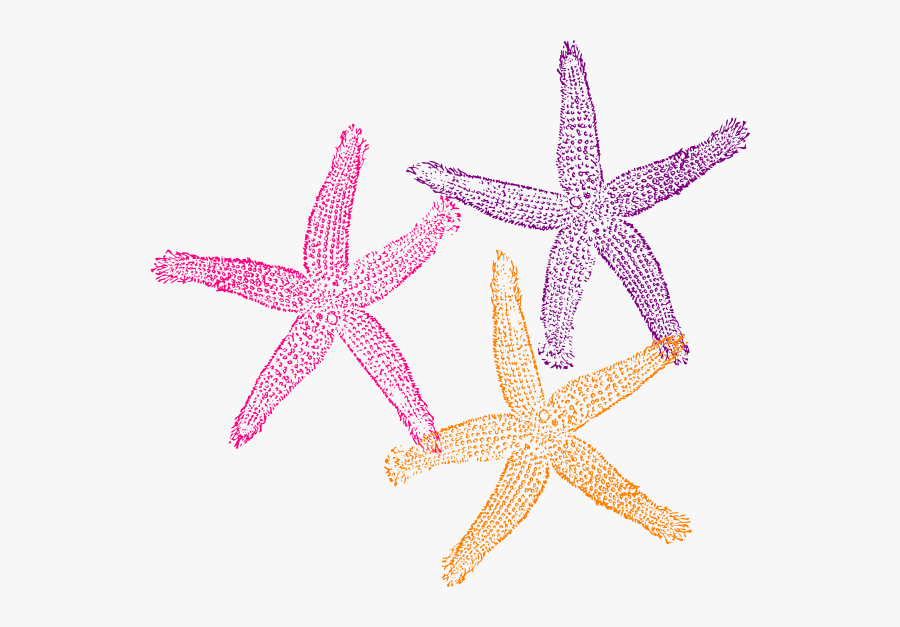 Starfish Clip Art Png, Transparent Clipart