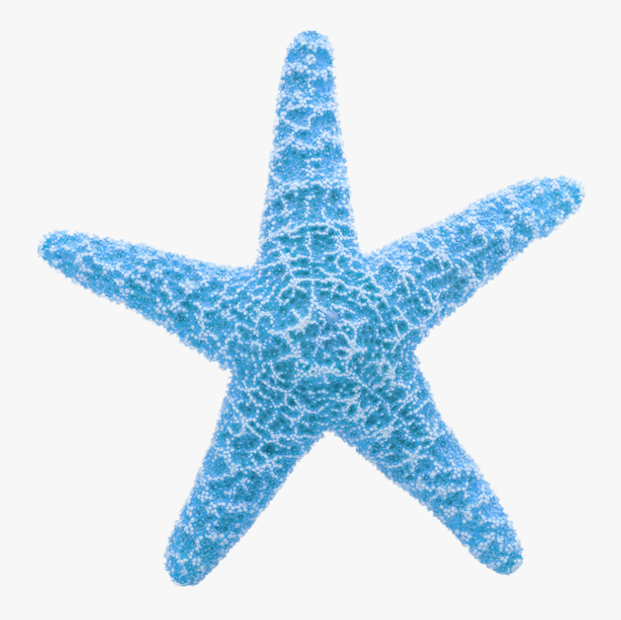 Starfish Clipart Png, Transparent Clipart