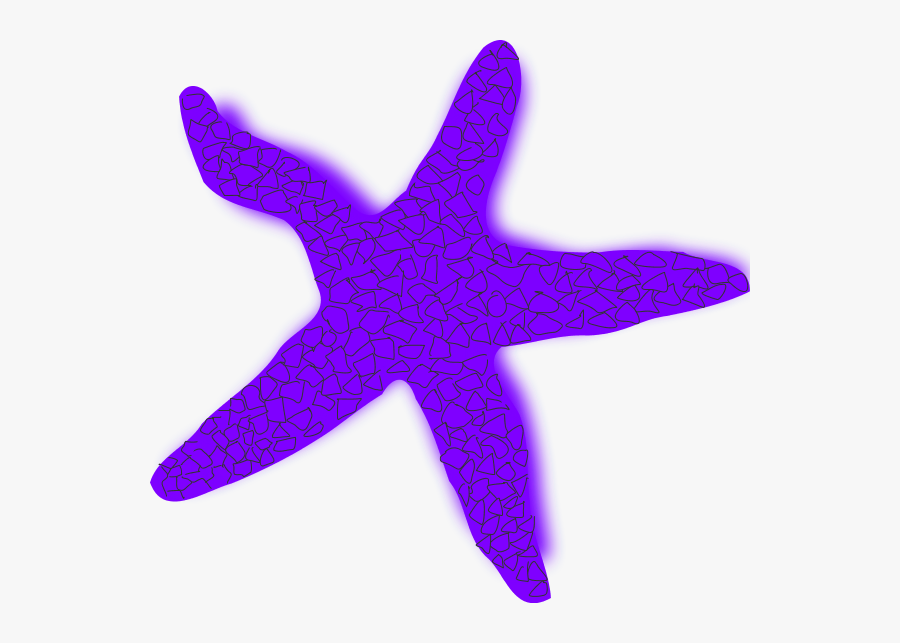 Starfish Clipart Image - Star Fish Clip Art, Transparent Clipart