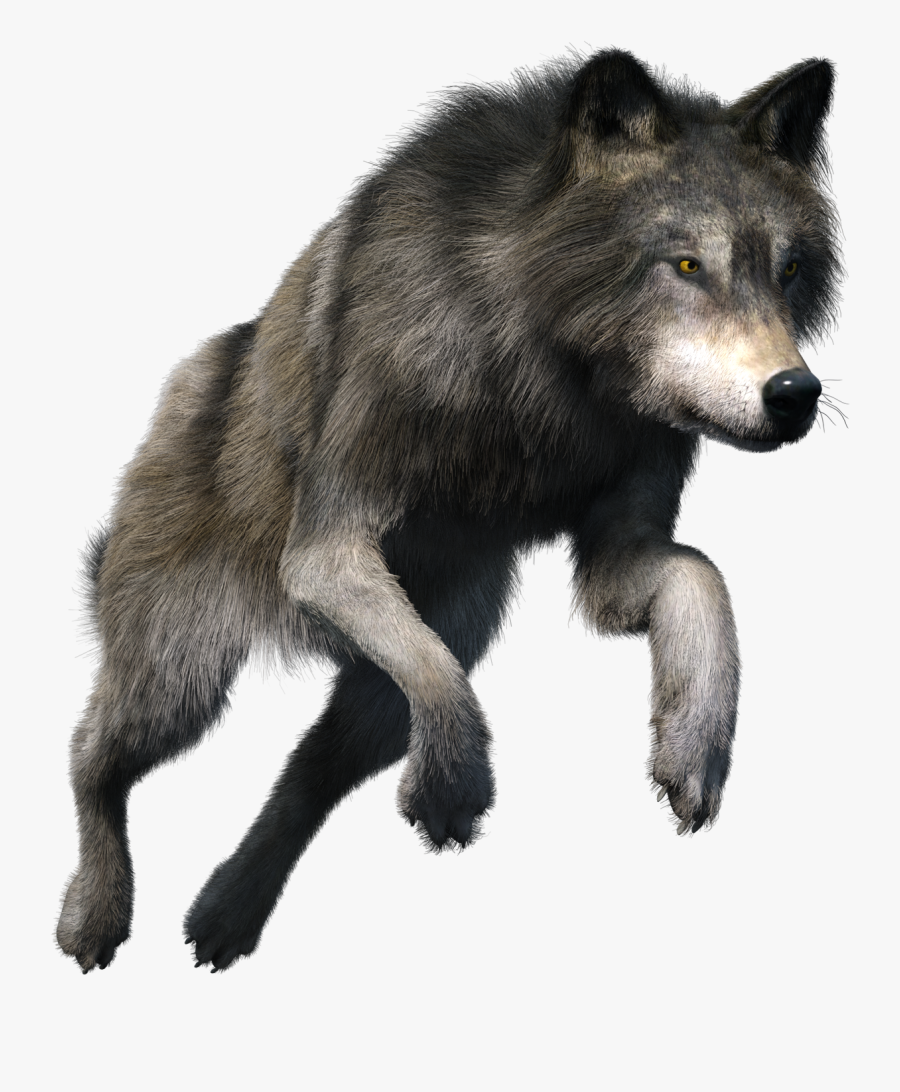 Wolf Png, Transparent Clipart