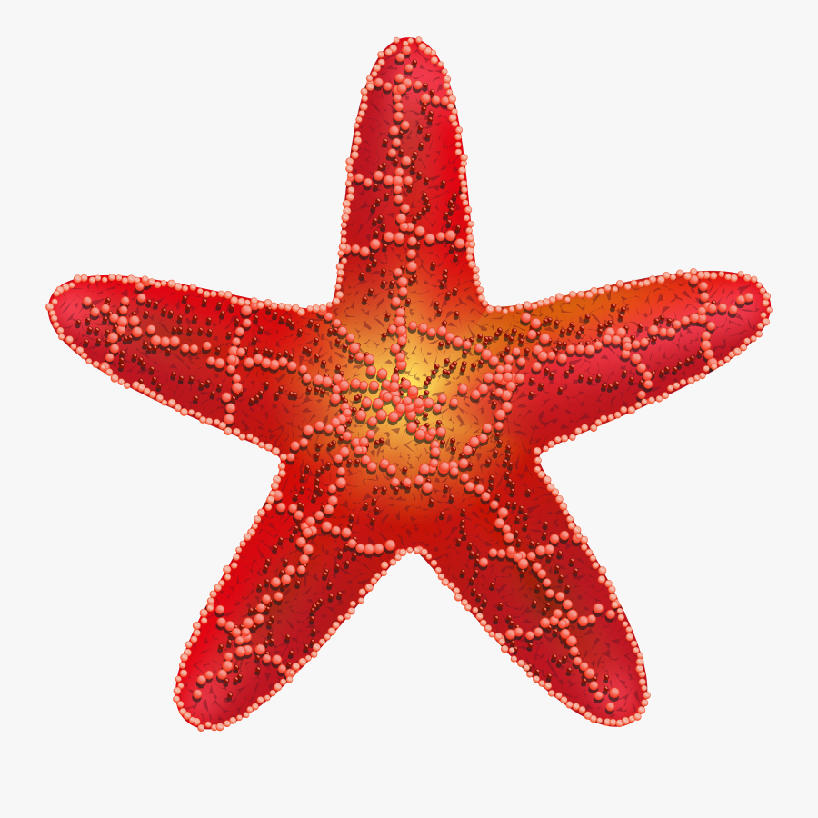 Starfish Red Clipart Photo Transparent Png - Starfish On Transparent Background, Transparent Clipart