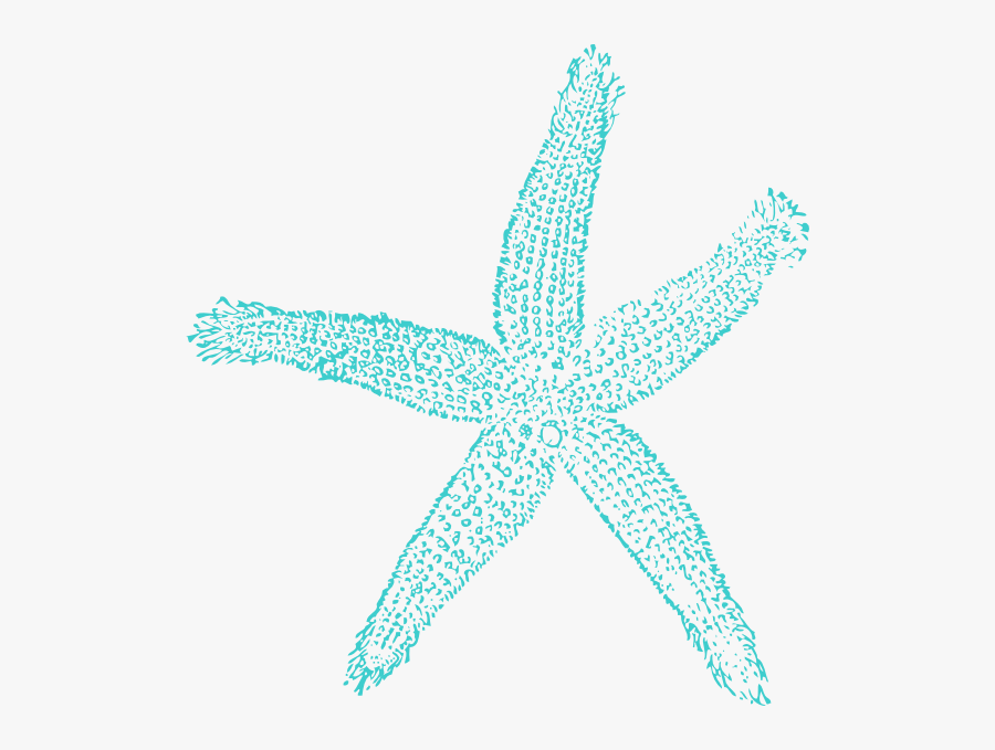 Turquoise Starfish Clip Art At Vector Clip Art - Coral Starfish Clipart, Transparent Clipart