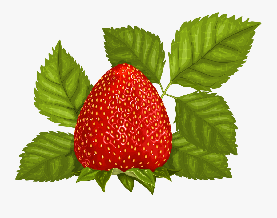 Cliparts Zone With Leaves - Strawberry Leaves Png, Transparent Clipart