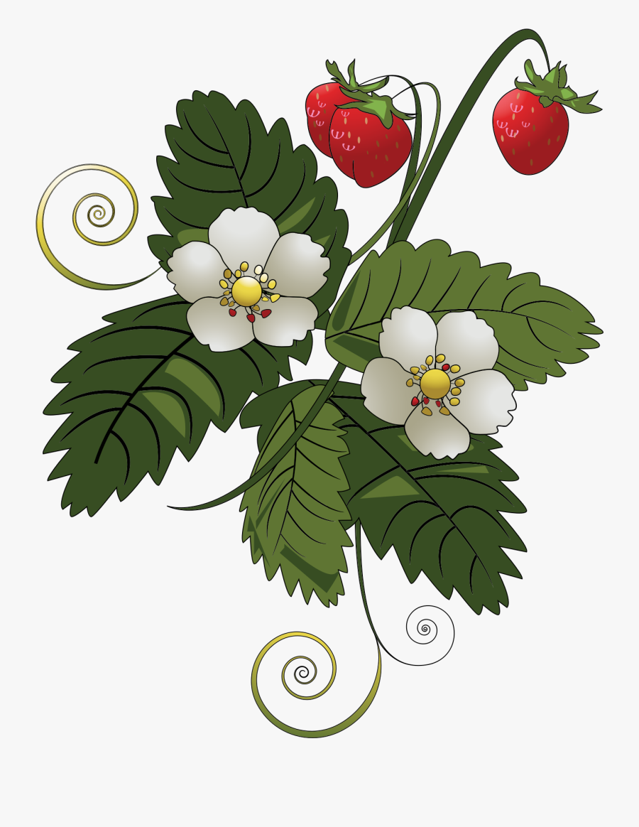 Thumb Image - Strawberry Plant Transparent Background, Transparent Clipart
