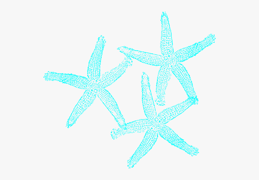 Blue And Green Starfish Art, Transparent Clipart