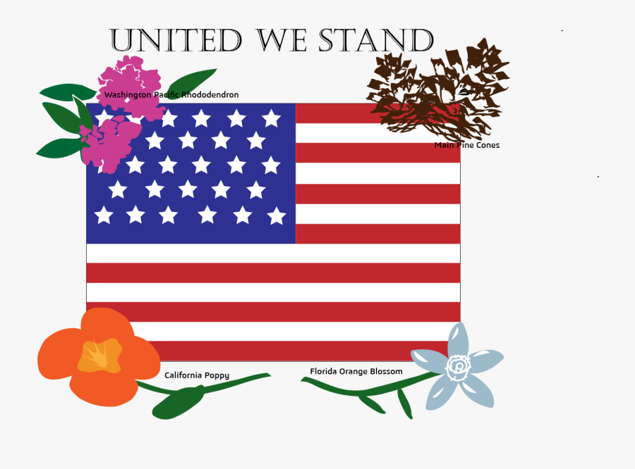 Us Flag Clipart Vintage - Made In Usa, Transparent Clipart