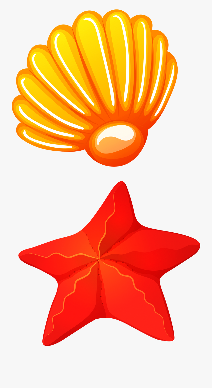 Shell Vector Png, Transparent Clipart