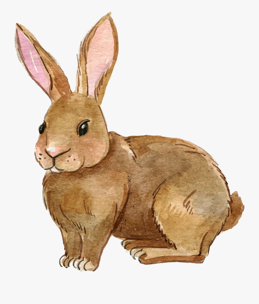 Clip Art Portable Network Graphics European Rabbit - Transparent Background Rabbit Clipart, Transparent Clipart