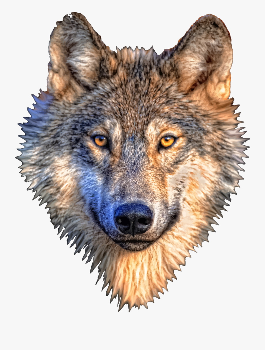 Wolf Head Transparent Background, Transparent Clipart