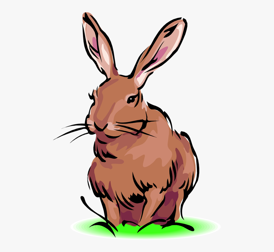 Rabbit Clipart Free Clipart Images - Animated Picture Of Rabbit, Transparent Clipart