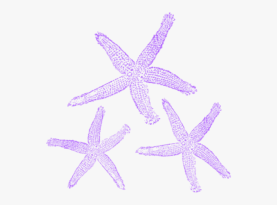 Purple Starfish Blue Clipart, Transparent Clipart