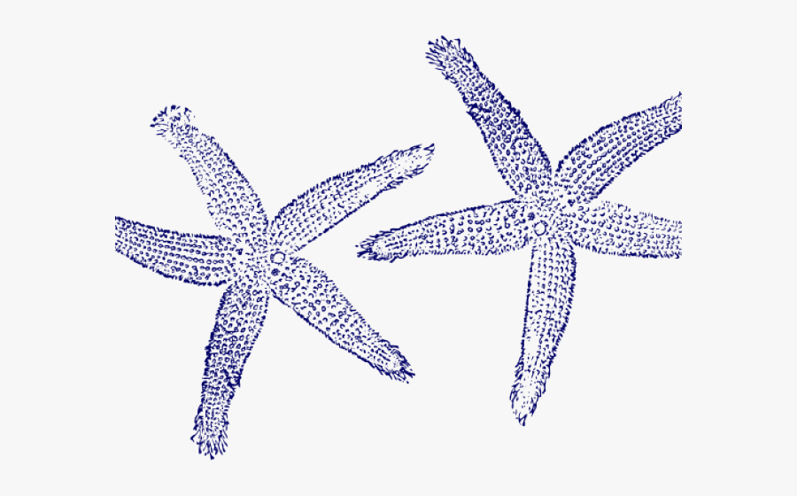 Fish Clip Art, Transparent Clipart