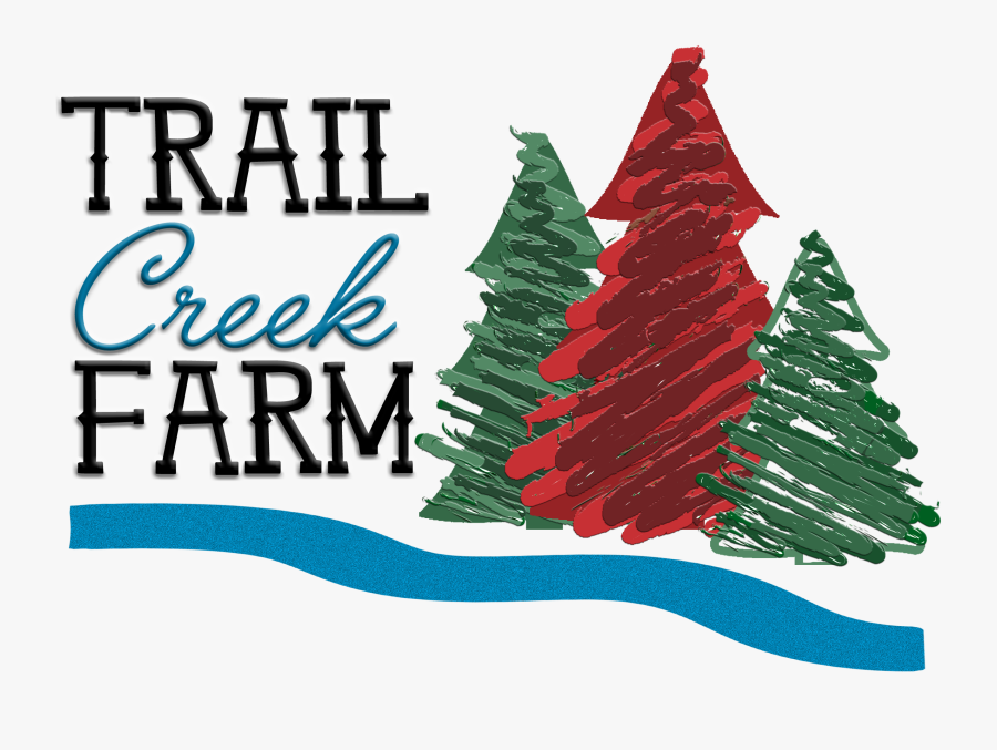 Christmas Tree Farm Clipart - Christmas Tree, Transparent Clipart