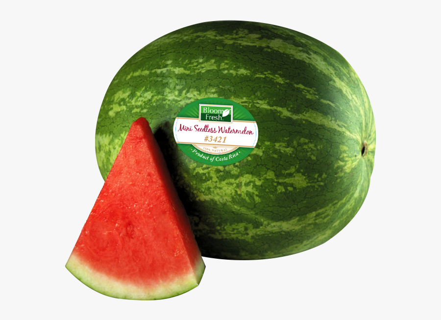 Watermelon Png Transparent Images - Watermelon Clip Art, Transparent Clipart