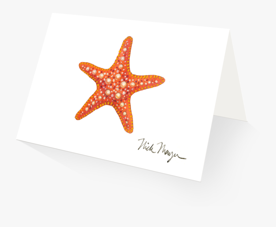 Hd Sea Star Png - Starfish, Transparent Clipart