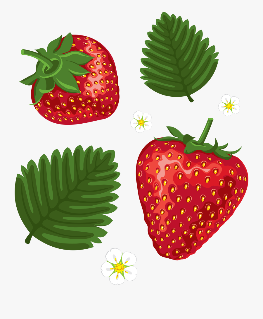 Strawberry Image Picture Download - Strawberry Leaves Clipart, Transparent Clipart