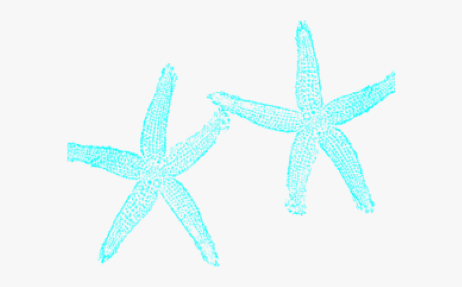 Transparent Starfish Clipart - Fish Clip Art, Transparent Clipart