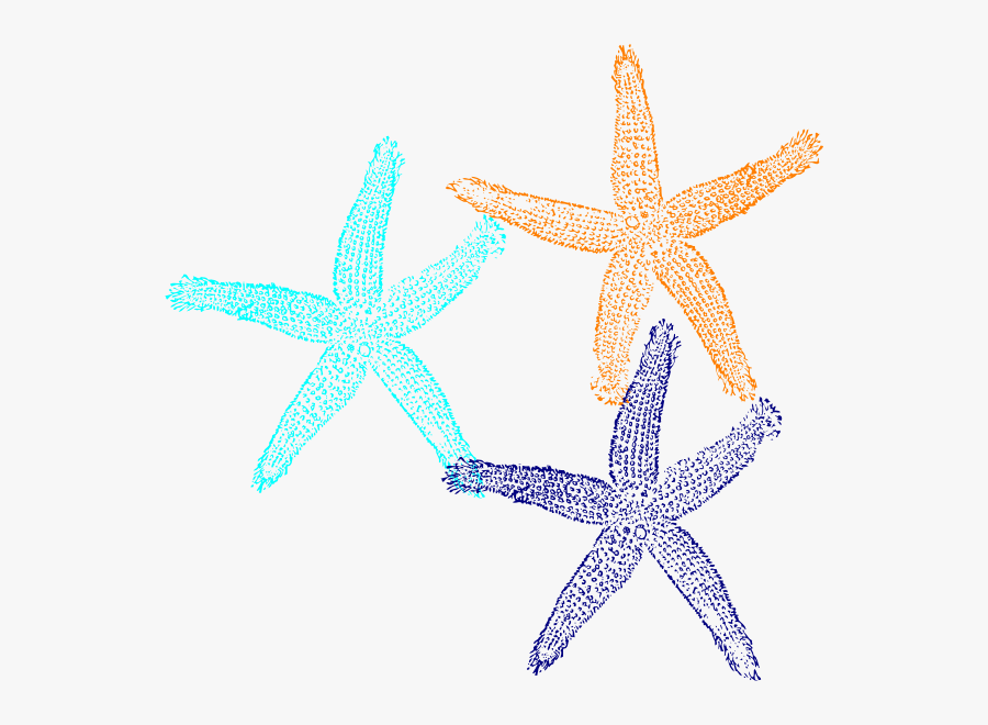Starfish Svg Clip Arts - Clip Art, Transparent Clipart