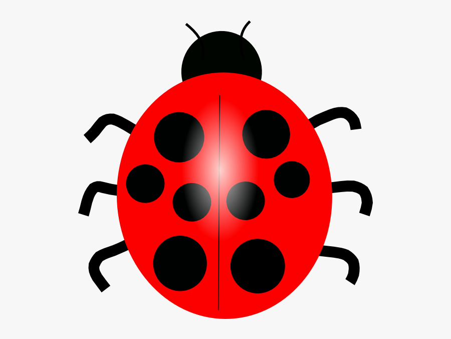 Ladybug Lady Bug Clip Art Bug Flower Leaf Branch Clipart - Red Ladybug Clipart, Transparent Clipart