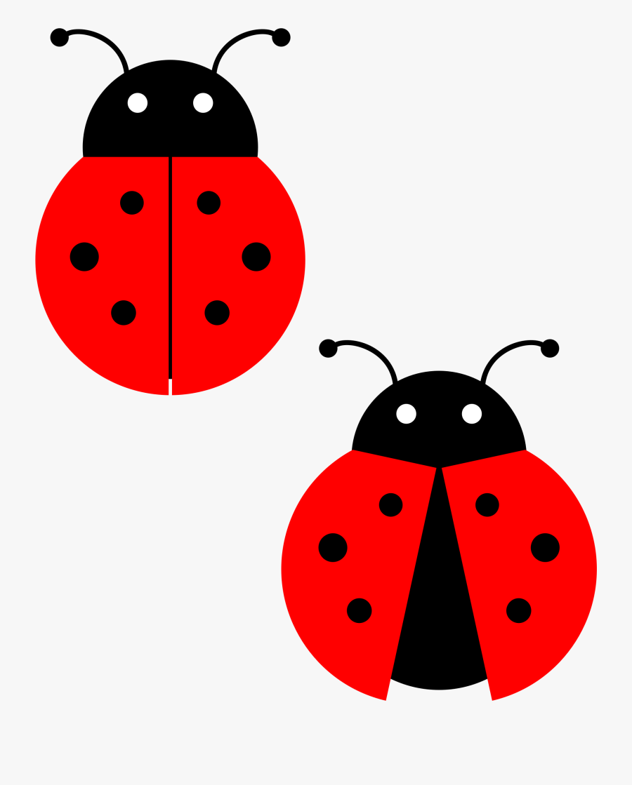 Ladybug Clip Art - Clip Art Ladybug, Transparent Clipart