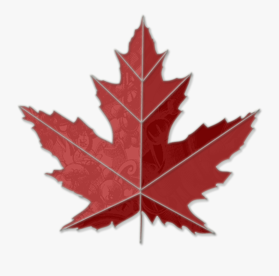 Transparent Maple Leaf Clipart Black And White - Toronto Maple Leaf Png, Transparent Clipart