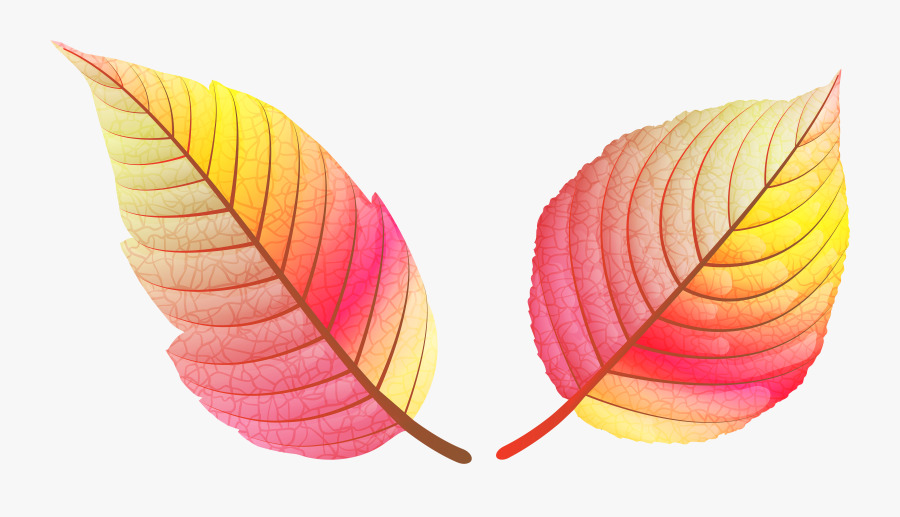 Fall Leaves Png Clip - Colorful Fall Leaves Clip Art, Transparent Clipart