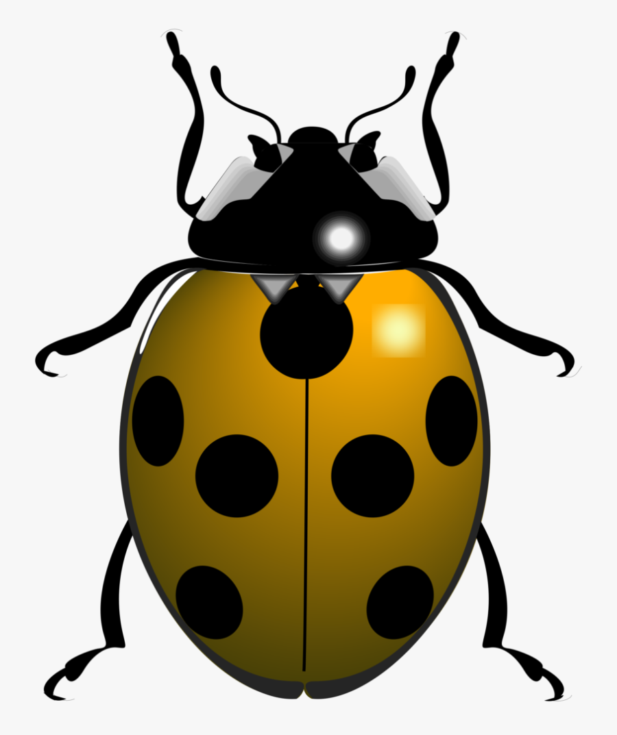 Black And White Ladybug, Transparent Clipart