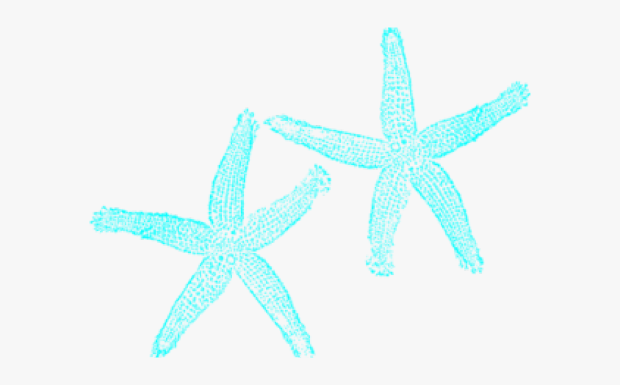 Transparent Starfish Clip Art Png - Teal Starfish, Transparent Clipart