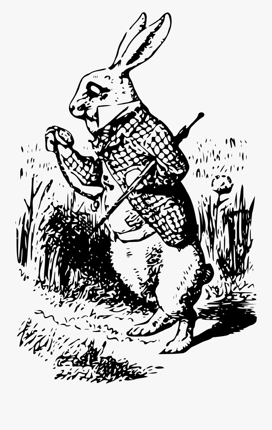 Clipart - - Alice In Wonderland Png Drawing, Transparent Clipart