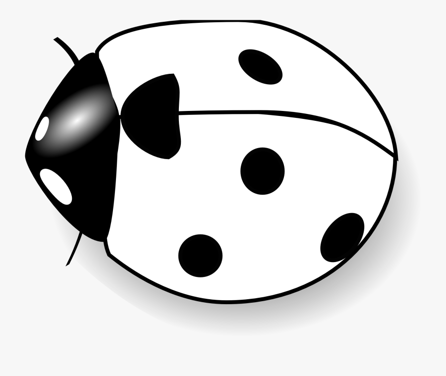 Ladybug - On - Flower - Clipart - Clip Art Images Black And White, Transparent Clipart