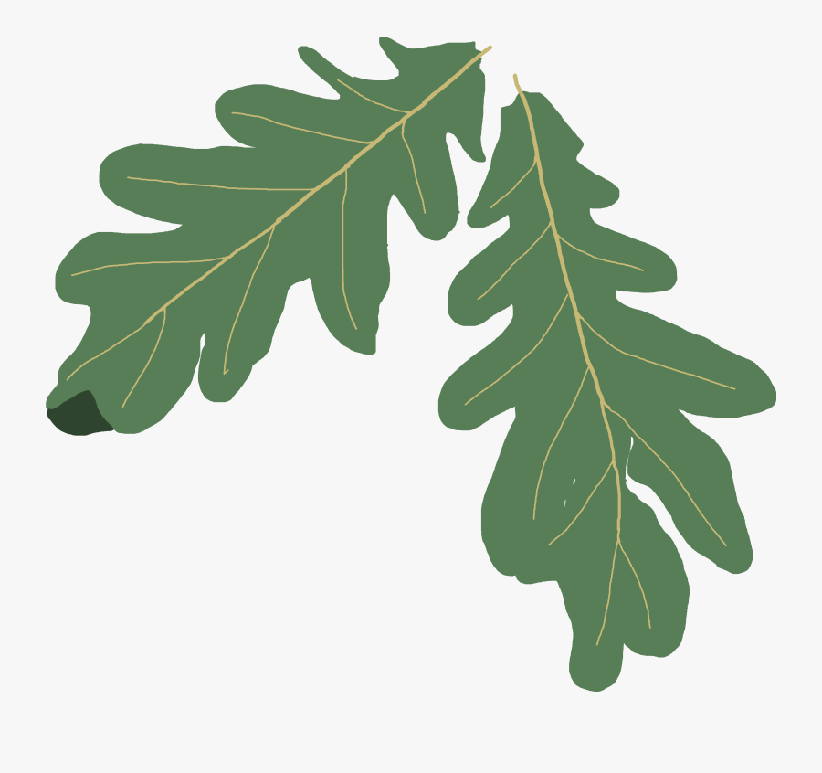 Leaves Clipart Oak Clipart Oak Tree Leaves Free Transparent Clipart Clipartkey