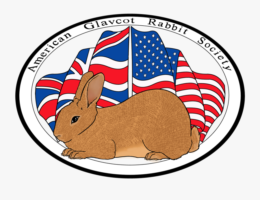 Domestic Rabbit Clipart , Png Download - Domestic Rabbit, Transparent Clipart