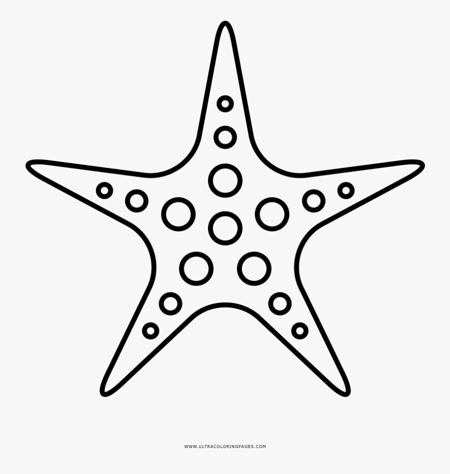 Transparent Starfish Clipart Png - Sea Star Fish Outline, Transparent Clipart