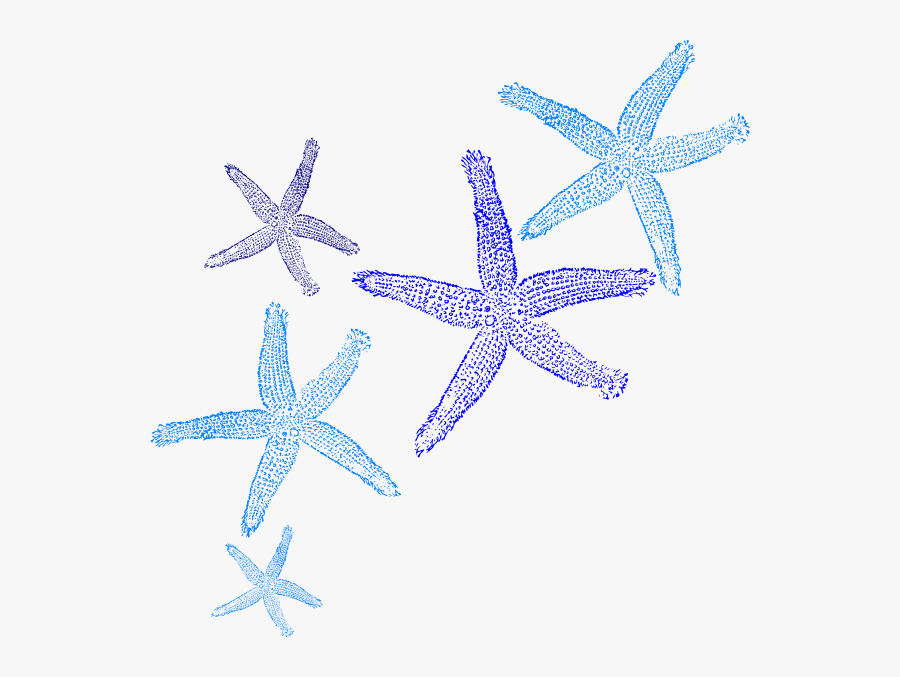 Transparent Starfish Border Clipart, Transparent Clipart