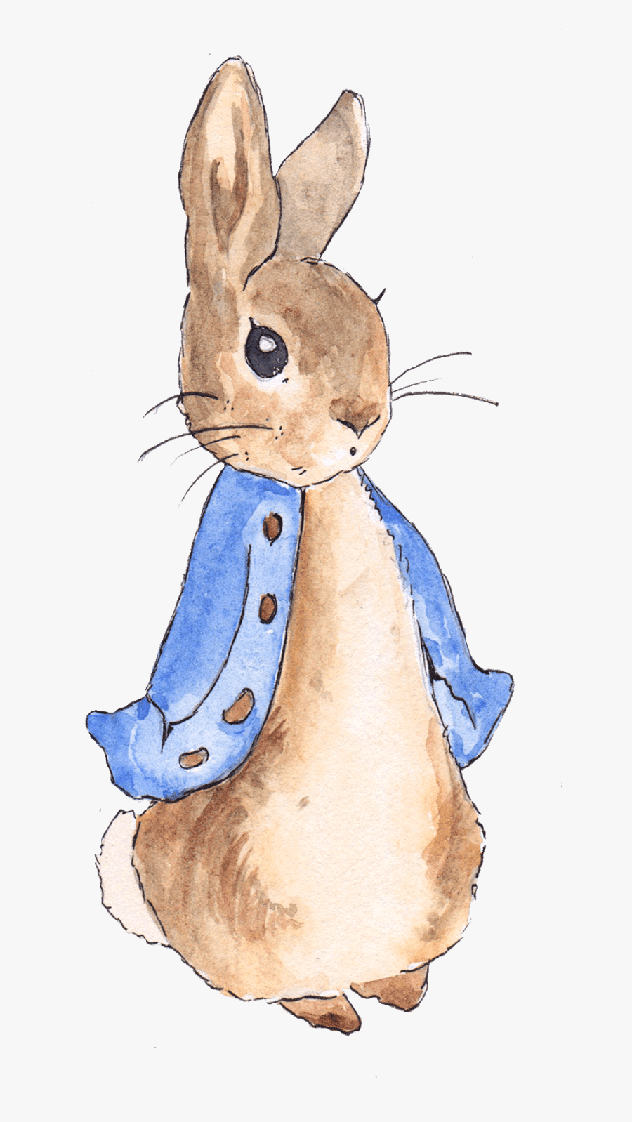 Peter Rabbit Png Free Library - Peter Rabbit, Transparent Clipart