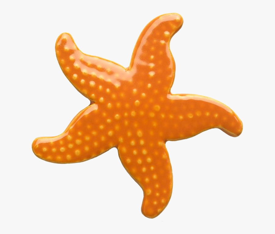 Starfish Clip Art Clipart Photo Niceclipart Transparent - Starfish Clipart, Transparent Clipart
