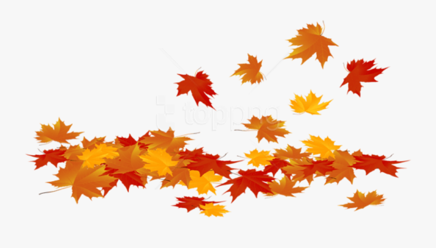 Download Fallen Leaves Clipart - Transparent Background Fall Leaves Clipart, Transparent Clipart
