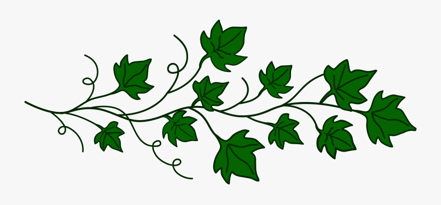 Vine Of Ivy Leaves - Clip Art Pumpkin Leaves, Transparent Clipart